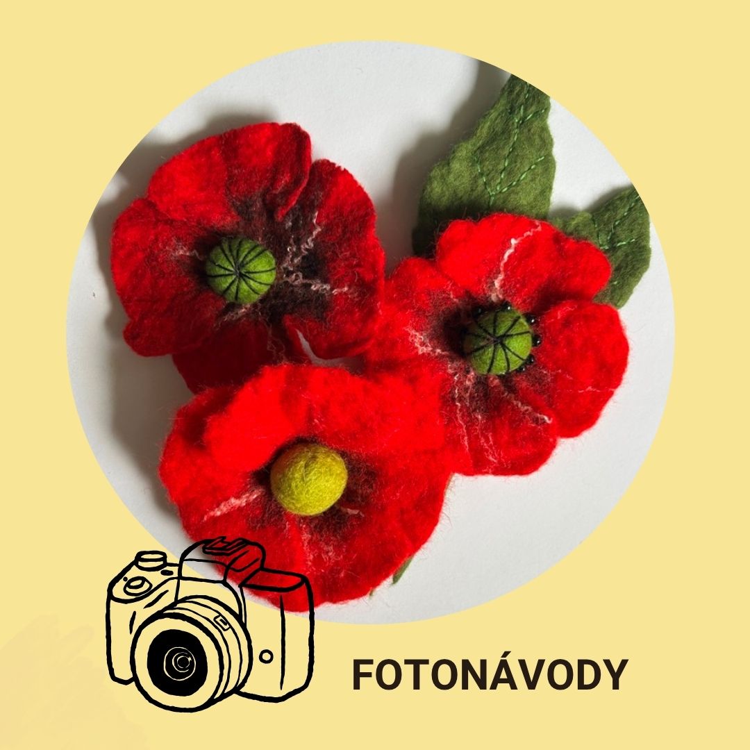 Fotonávody na plstenie