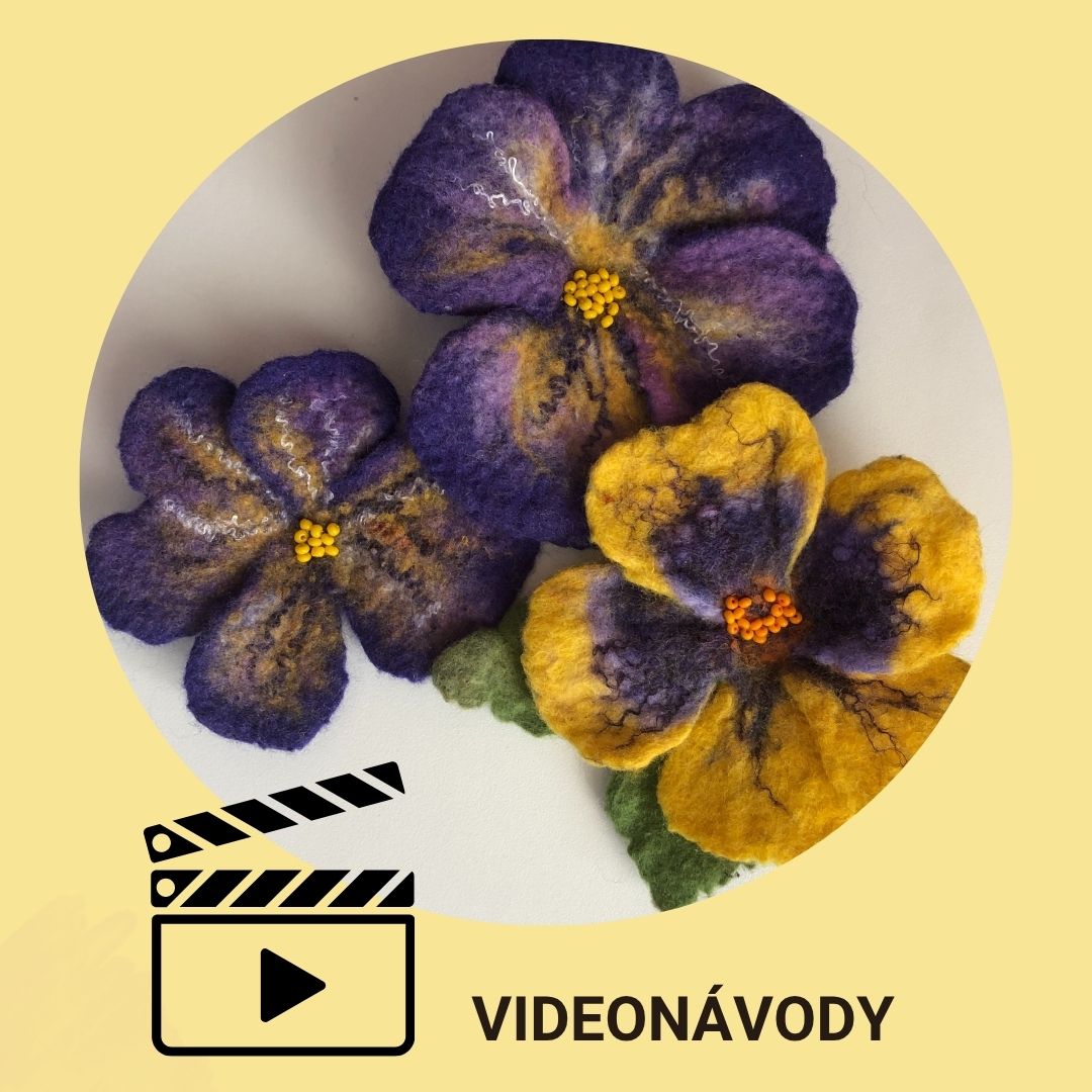 Videonávody