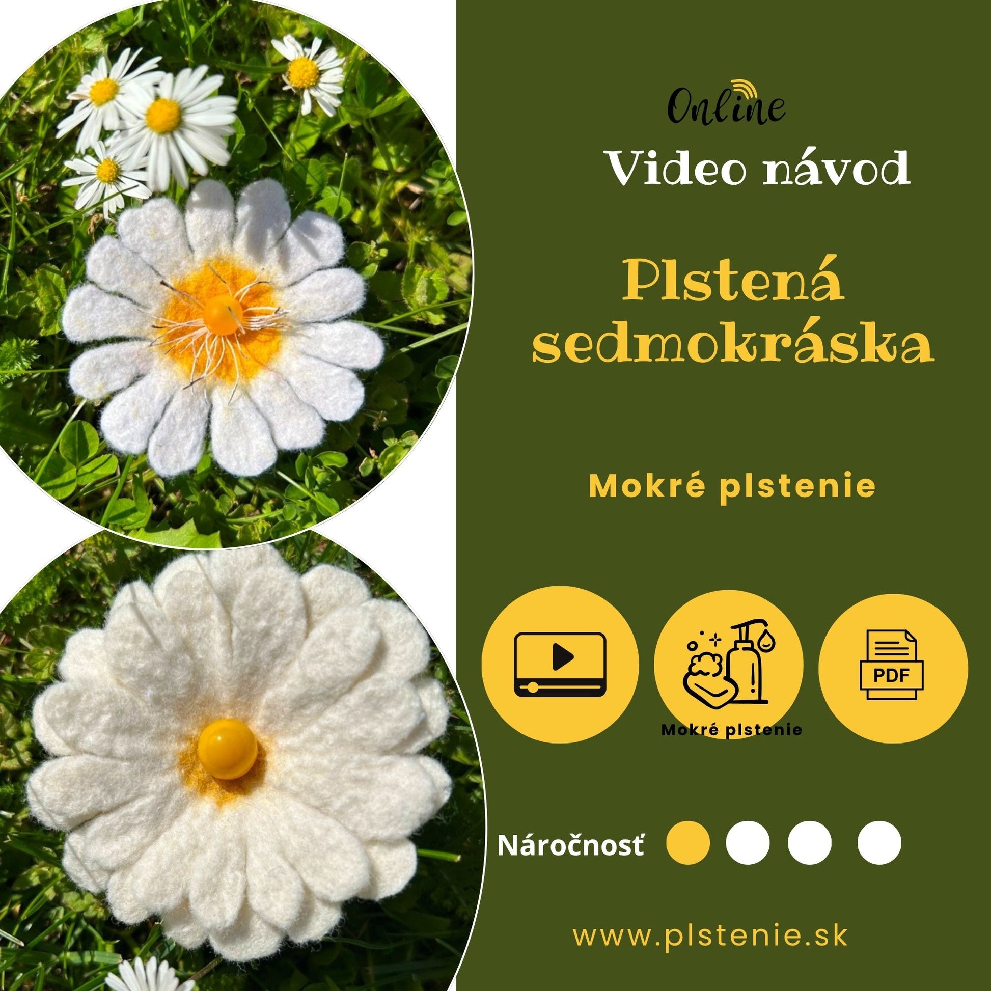 Plstená Sedmokráska, videonávod, mokré plstenie