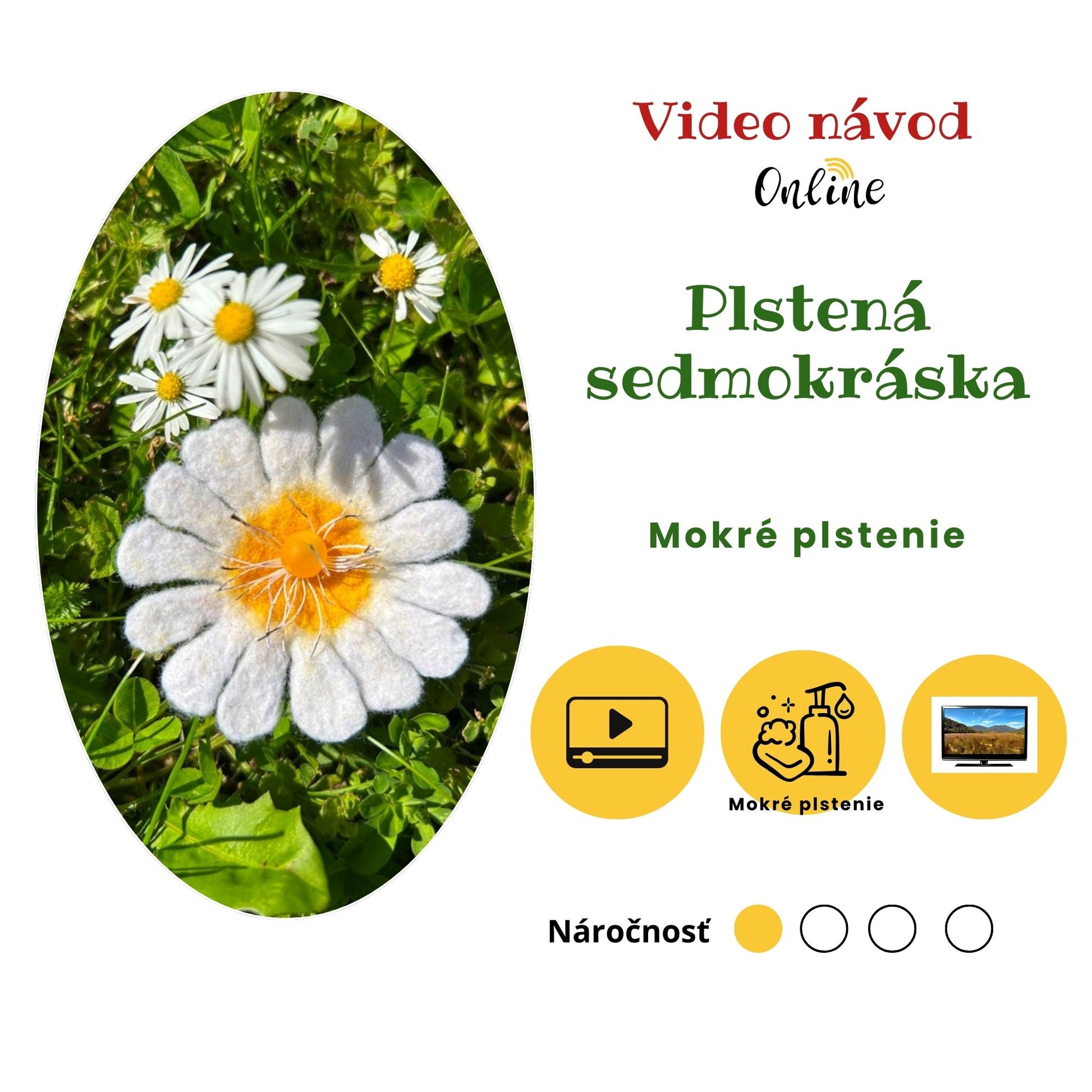 Plstená Sedmokráska, videonávod, mokré plstenie