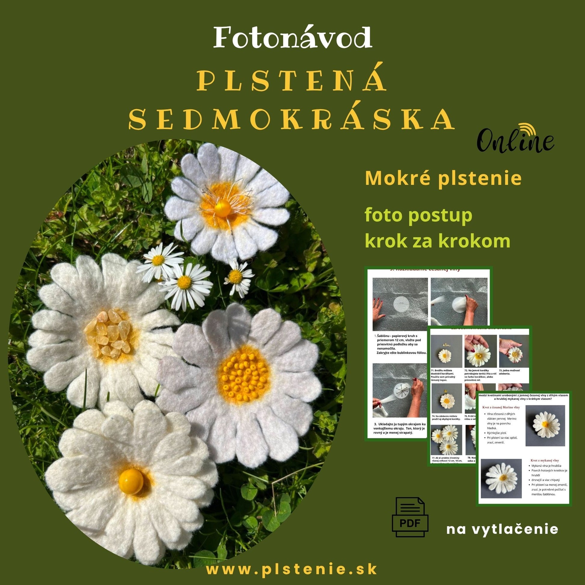 Fotonávod plstená sedmokráska